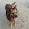 Photo of Ruby