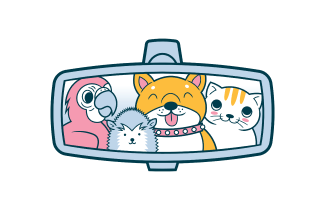 Animal Transporter, parot, hedgehog, dog, and cat in a car's rear-view mirror